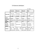 Biznesa plāns 'Biznesa plāns skeitborda preču veikala izveidei', 10.