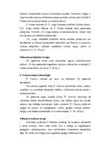 Konspekts 'Kultūras teorijas', 6.