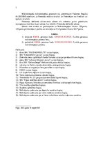 Konspekts 'Fiziskas personas maksātnespējas procesa pieteikums', 3.