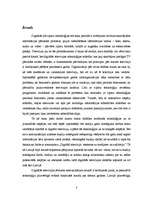 Diplomdarbs 'Digitālā televīzija: ietekmes uz medijiem un auditoriju', 3.