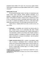 Diplomdarbs 'Digitālā televīzija: ietekmes uz medijiem un auditoriju', 17.