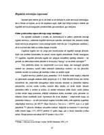 Diplomdarbs 'Digitālā televīzija: ietekmes uz medijiem un auditoriju', 20.