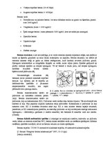 Konspekts 'Dzelzsbetona konstrukcijas', 5.
