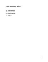 Referāts 'Sakaru līnijas Skuki - Indra - Piedruja projekts', 3.