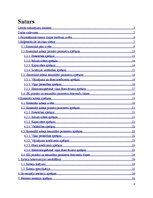 Referāts 'Sakaru līnijas Skuki - Indra - Piedruja projekts', 4.