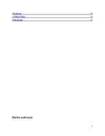 Referāts 'Sakaru līnijas Skuki - Indra - Piedruja projekts', 5.