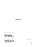 Referāts 'Sakaru līnijas Skuki - Indra - Piedruja projekts', 37.