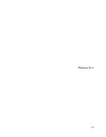 Referāts 'Sakaru līnijas Skuki - Indra - Piedruja projekts', 53.