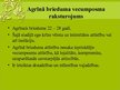 Prezentācija 'Agrīnais briedums', 2.