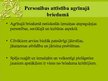 Prezentācija 'Agrīnais briedums', 5.