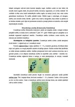 Referāts 'Medicīniskā parazitoloģija', 4.