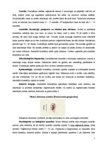 Referāts 'Medicīniskā parazitoloģija', 5.