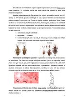 Referāts 'Medicīniskā parazitoloģija', 9.