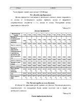 Biznesa plāns 'Бизнес план нового предприятия SIA "Cargo.lv"', 23.