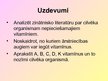 Prezentācija 'Sintētisko vitamīnu aizstāšana ar dabas produktiem', 3.