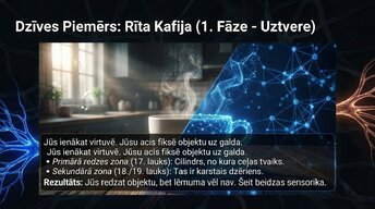 Prezentācija 'Smadzeņu arhitektūra - sensorās, asociatīvās un motorās zonas', 4.