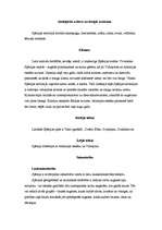 Referāts 'Spānija', 3.