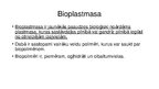 Prezentācija 'Polimēratkritumi un to pārstrāde, biodegradējamie polimēri', 7.