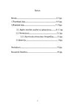 Referāts 'Snovbords - projekts', 1.