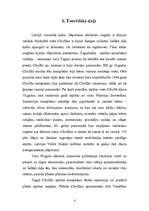 Referāts 'Snovbords - projekts', 4.