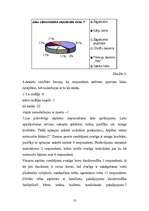 Referāts 'Snovbords - projekts', 10.