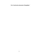 Referāts 'Snovbords - projekts', 13.