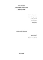 Paraugs 'Ieskaites darbs lietvedībā', 1.