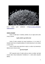 Referāts 'Kokgriezumu sudrabošana', 5.