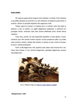 Referāts 'Kokgriezumu sudrabošana', 13.