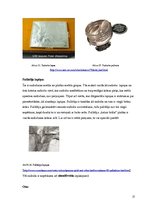 Referāts 'Kokgriezumu sudrabošana', 17.