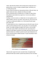 Referāts 'Kokgriezumu sudrabošana', 18.