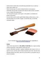 Referāts 'Kokgriezumu sudrabošana', 19.