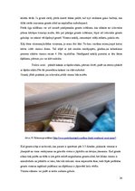 Referāts 'Kokgriezumu sudrabošana', 24.