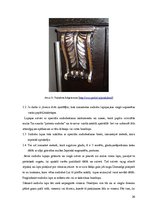 Referāts 'Kokgriezumu sudrabošana', 26.