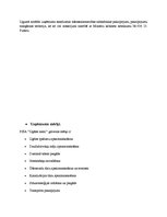 Prakses atskaite 'Uzņēmuma raksturojums', 3.