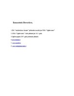 Prakses atskaite 'Uzņēmuma raksturojums', 17.