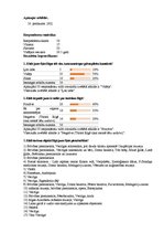 Referāts 'Latvijas tūrisma zīmols - Rīga', 37.