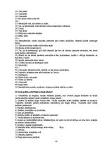 Referāts 'Latvijas tūrisma zīmols - Rīga', 43.