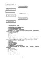 Konspekts 'Loģistika', 6.