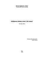 Biznesa plāns 'Izīrējamas istabas, viesu māja', 1.