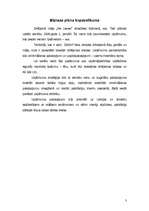 Biznesa plāns 'Izīrējamas istabas, viesu māja', 3.