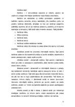 Biznesa plāns 'Izīrējamas istabas, viesu māja', 13.