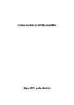 Referāts 'Grupu ietekme', 1.