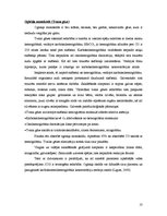 Referāts 'Autotransporta piesārņojums, to ģenētiskie efekti', 10.