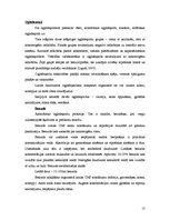 Referāts 'Autotransporta piesārņojums, to ģenētiskie efekti', 13.