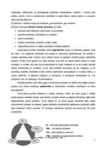 Referāts 'Personības socializācija', 7.