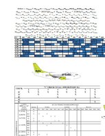 Referāts 'Gaisa kuģu lidojumu un tehniskās apkopes plānošana', 1.