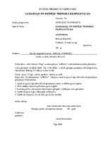 Referāts 'Gaisa kuģu lidojumu un tehniskās apkopes plānošana', 4.