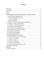 Referāts 'Gaisa kuģu lidojumu un tehniskās apkopes plānošana', 7.