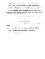 Referāts 'Gaisa kuģu lidojumu un tehniskās apkopes plānošana', 10.